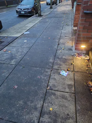 File:F00c5c62-20251128 163820.webp