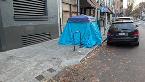 PXL 20251119 154425641.MP.webp