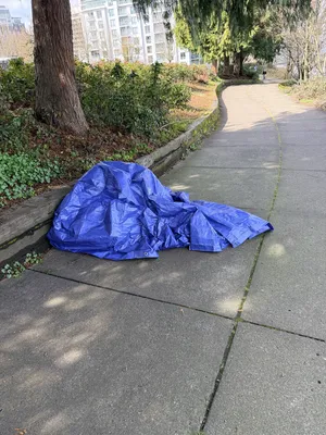 File:6b40efd0-IMG 4580.webp