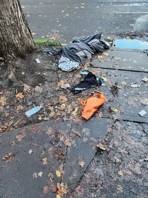 File:B642632a-20251206 150441.webp