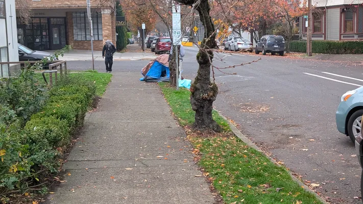 File:PXL 20251116 175814893.webp