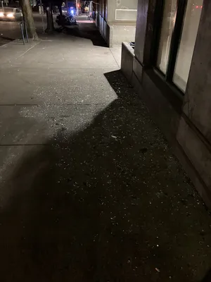 File:3f8d003e-IMG 0190.webp