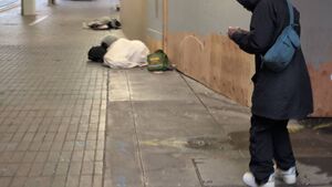 Capture 1775054800.jpg