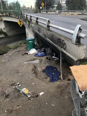 88627641-IMG 3742.webp