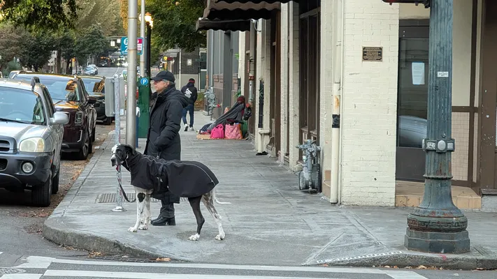 File:PXL 20251015 144617736.webp