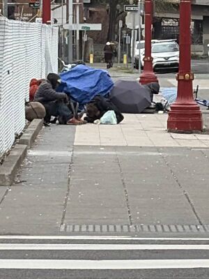 Capture 1774308350.jpg