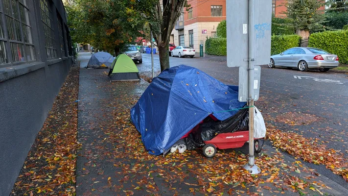 File:PXL 20251027 151446561.webp