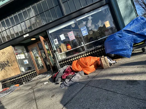 96d3ee78-IMG 9166.webp