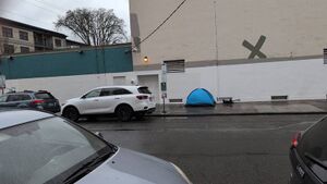 Capture 1772819033.jpg