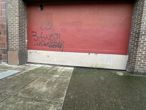 3a1ee44d-IMG 9390.webp