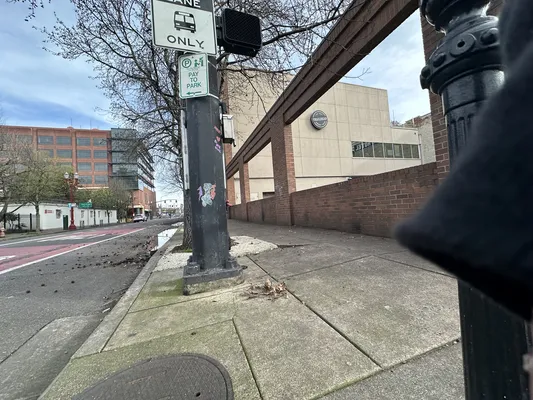 File:F1f89ece-IMG 9497.webp