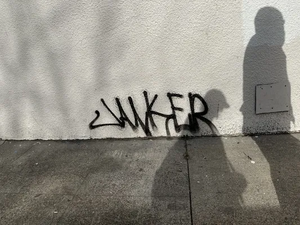 1e512fa7-IMG 9485.webp