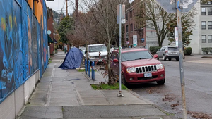 2b1a1263-PXL 20251127 193720095.webp