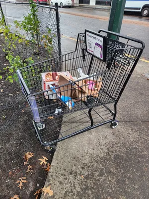 File:81eaaa97-20251125 142535.webp