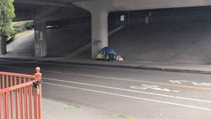 Capture 1773102778.jpg