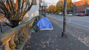 PXL 20251119 155210186.MP.webp