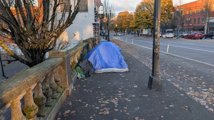 File:PXL 20251119 155210186.MP.webp