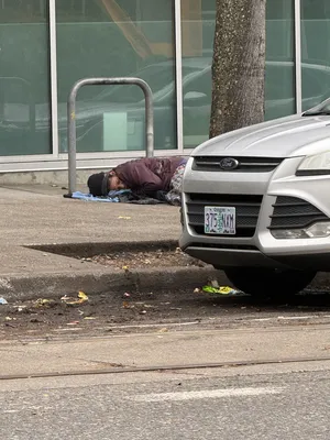 File:7d5214d7-IMG 0535.webp