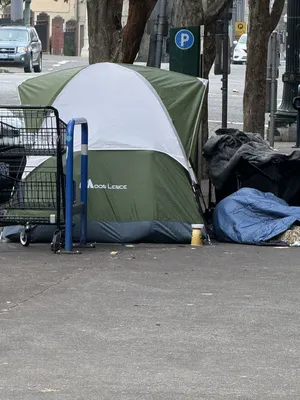 File:0fcef41b-IMG 0667.webp