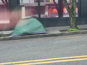 49d38e7a-20260303 095413.webp