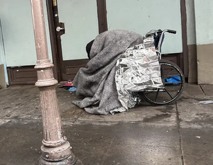 9c7fa2b6-IMG 8924.webp