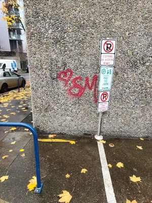 File:B91e36b4-20251204 122730.webp