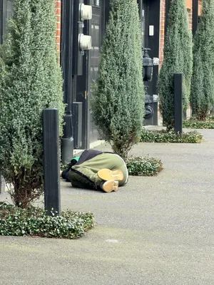 File:0b7c307d-IMG 4521.webp