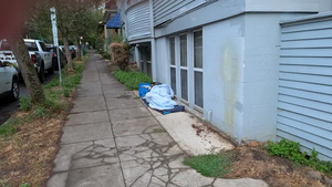 PXL 20251002 143108531.webp