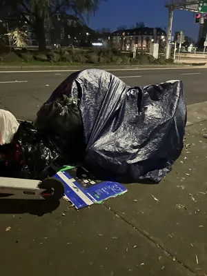 File:084c7c76-IMG 0192.webp