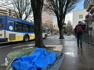 7064e254-IMG 8905.webp