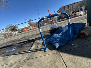 99753cc8-IMG 9186.webp