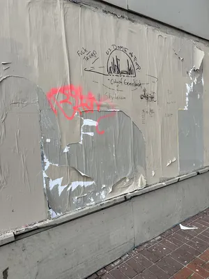 File:82da5768-IMG 9484.webp