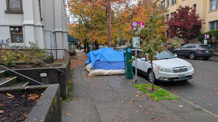 File:PXL 20251104 155215815.webp