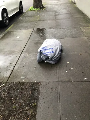 File:19b8ea53-IMG 3746.webp