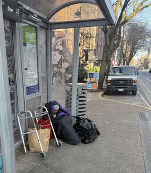 66fe2493-IMG 0670.webp