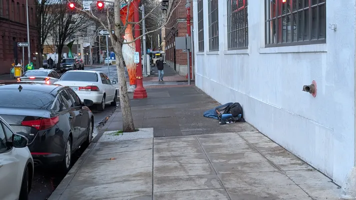 File:69d85834-PXL 20251217 154623263.MP.webp