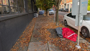 PXL 20251030 153948623.webp