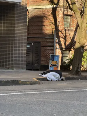 8944672d-IMG 0705.webp