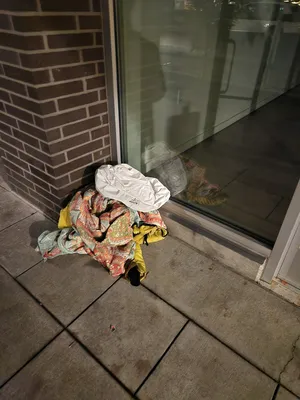 File:798f50f0-20251125 062709.webp