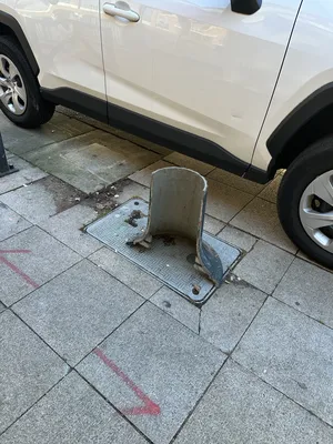 File:F4d2ddc3-IMG 9132.webp