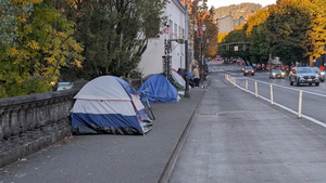 PXL 20251015 145416879.webp