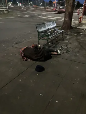 70e32576-IMG 0197.webp