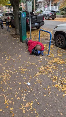 File:PXL 20251111 190842120.webp