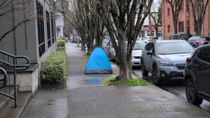 Capture 1772727923.jpg