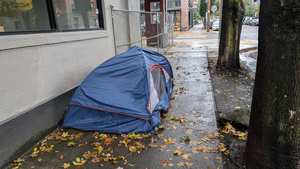 PXL 20251025 192358676.webp