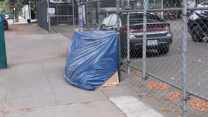 PXL 20250829 144212915.webp