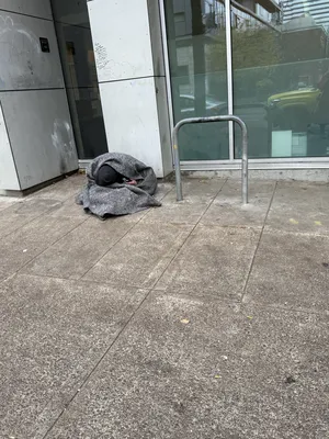 File:F5bf19c4-IMG 0508.webp