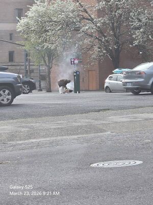 Capture 1774282906.jpg