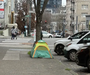 D7273215-IMG 0534.webp