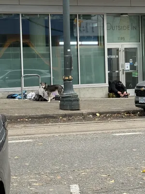 File:74629b23-IMG 0536.webp